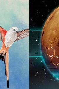 Board Game Night with Dire Wolf & Friends Encore