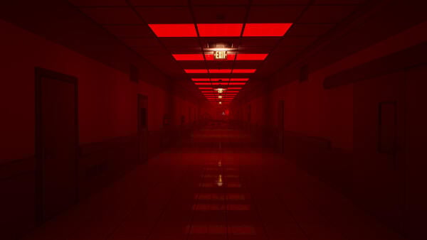 Escape the Backrooms