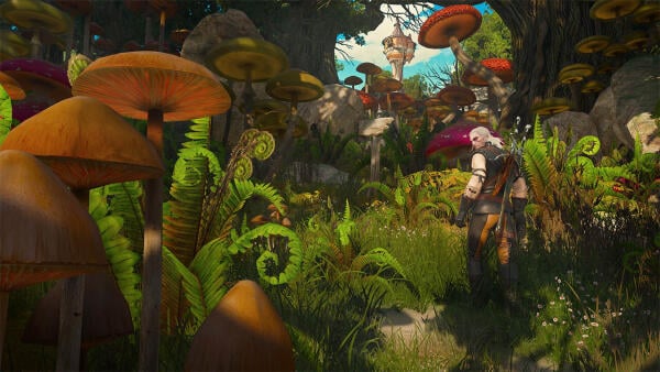 The Witcher 3: Wild Hunt - Blood and Wine