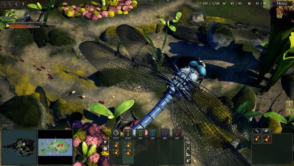 Empires of the Undergrowth