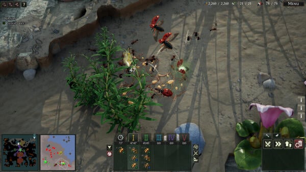 Empires of the Undergrowth