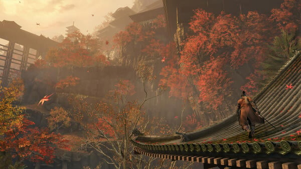 Sekiro™: Shadows Die Twice - GOTY Edition