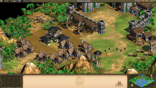 Age of Empires II (2013)