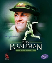 Don Bradman Cricket 14 (PC) CD key