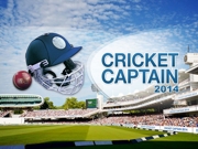 Cricket Captain 2014 (PC) CD key