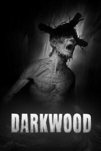 Darkwood (PC) CD key