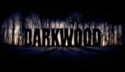 Darkwood (PC) CD key