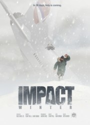 Impact Winter (PC) CD key