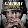 Call of Duty WWII (PS4) key