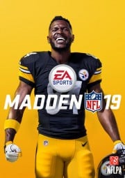 Madden NFL 19 (PS4) key - price from $51.20