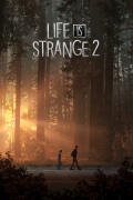 Life is Strange 2 (PC) CD key