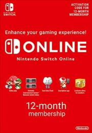 How much does a best sale nintendo switch online cost