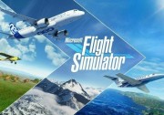 Microsoft Flight Simulator (PC) key