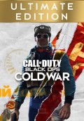 Call of Duty Black Ops: Cold War (Xbox One) key