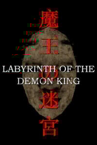 Labyrinth Of The Demon King (PC) key