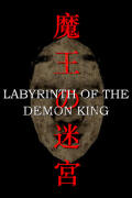Labyrinth Of The Demon King (PC) key