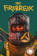 FBC: Firebreak (PC) key